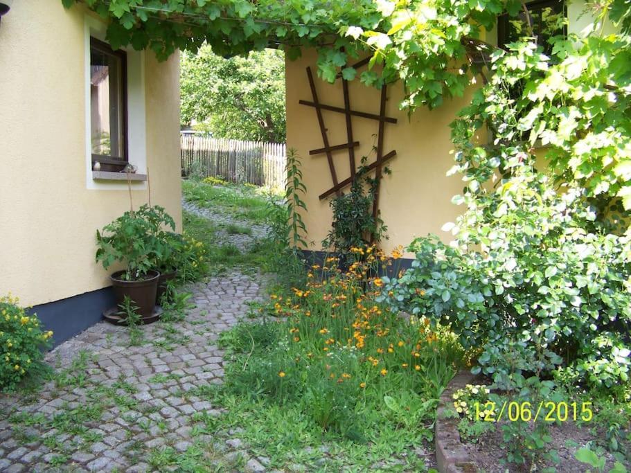 Gartentraum, Feuergrill, Kids-Spielwelt, 4Raeume Hartenstein  Zewnętrze zdjęcie