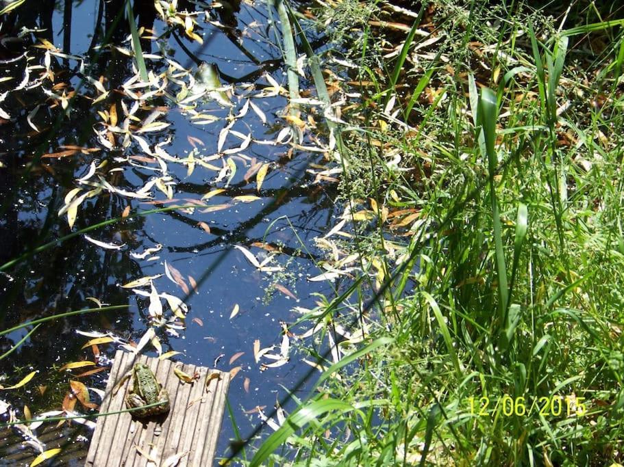 Gartentraum, Feuergrill, Kids-Spielwelt, 4Raeume Hartenstein  Zewnętrze zdjęcie